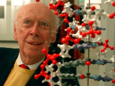 Джеймс Уотсон и модель ДНК. Фото: biomolecula.ru Джеймс Уотсон и модель ДНК. Фото: biomolecula.ru